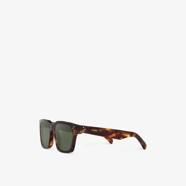 CL000384 CL40248I Celine Irregular Frame Acetate Sunglasses, Brown